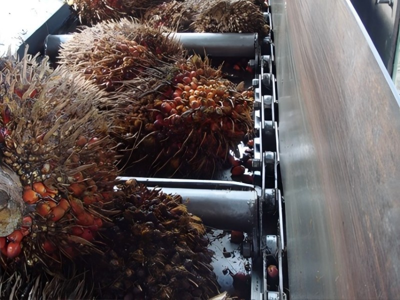 Heavy-Duty Anti-Clogging Palm Fruit Conveyor Chain